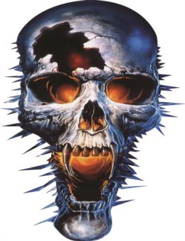 Evil Skull rc digital decal